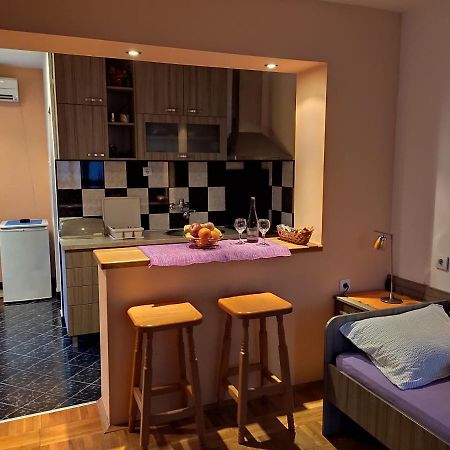 Apartman Ristic Нишка Баня Екстериор снимка